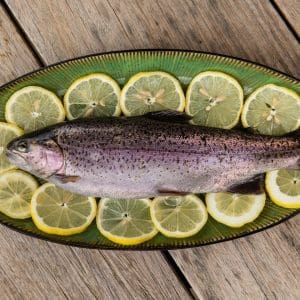 Trout fillet arranged on a bed of lemon slices.
