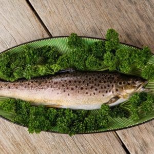 Trout fillet served on a bed of fresh greens.
