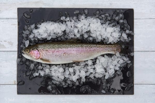 Fresh Whole Rainbow Trout