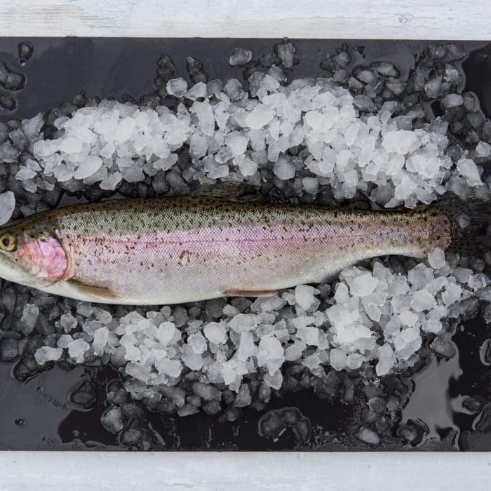 Fresh Whole Rainbow Trout