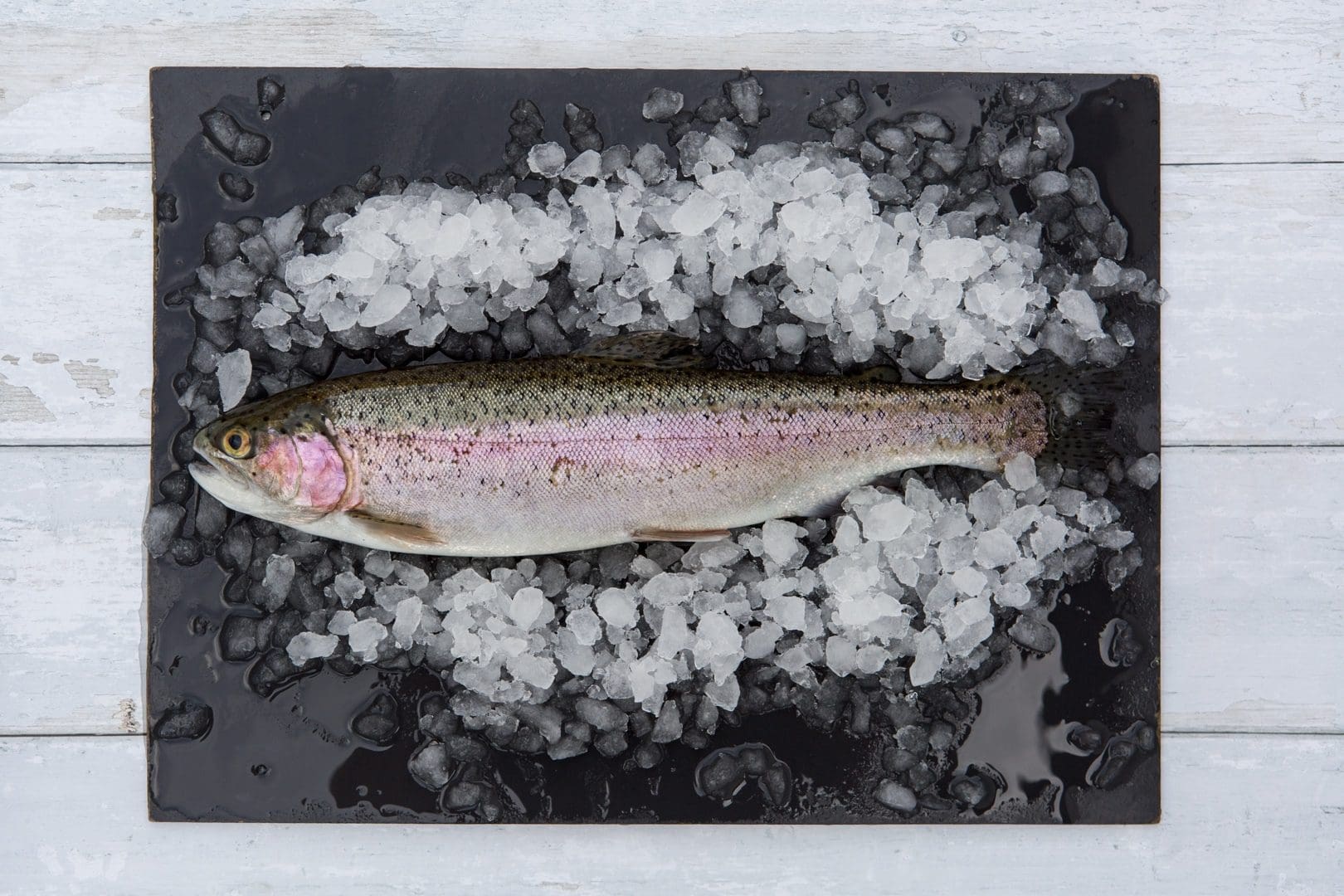 Fresh Whole Rainbow Trout