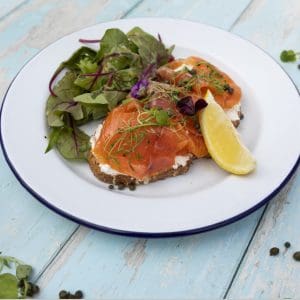 KayRansomPhotography8677 - LR KayRansomPhotography8677 - LR