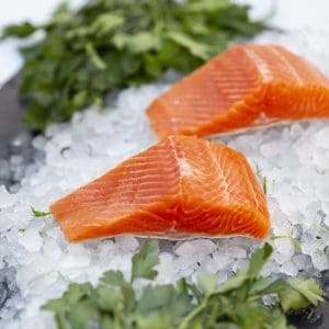 KayRansomPhotography4745