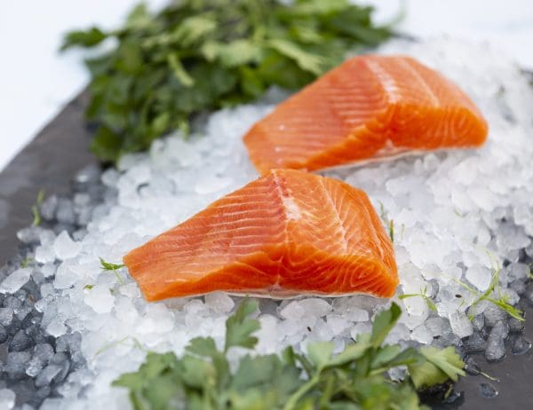 KayRansomPhotography4745